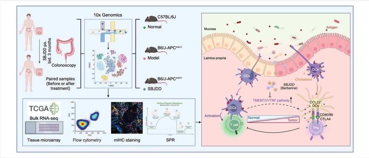 1753346840983227.jpg 3-1.jpg