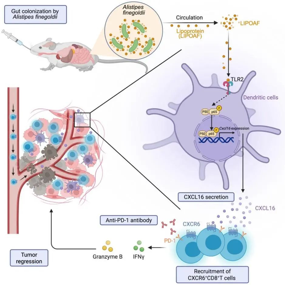 1753433228124888.jpg 1-2.jpg