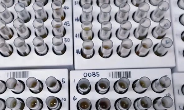 1753670106104777.jpg 2-2.jpg