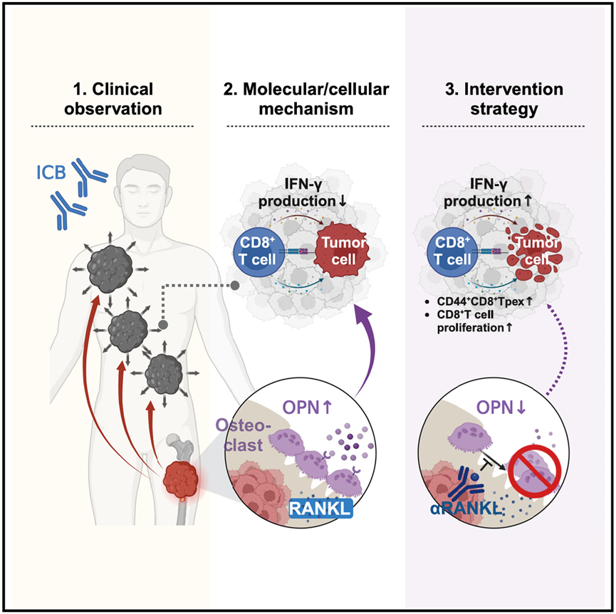 1753951700665714.png 1-2.png