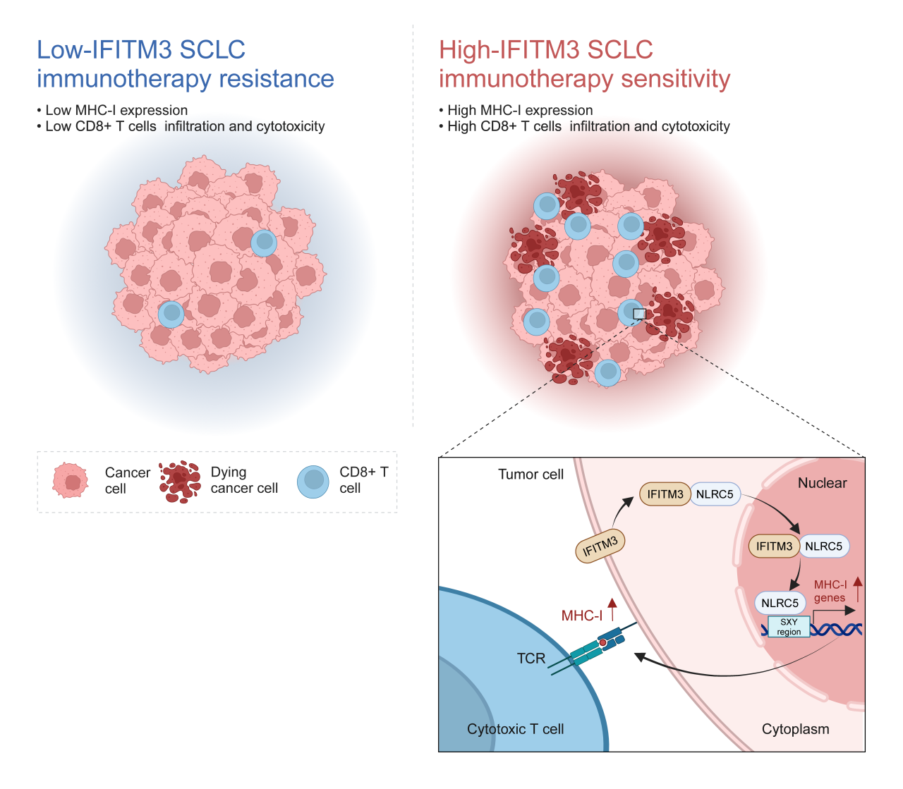 1754040517519188.png 1-2.png