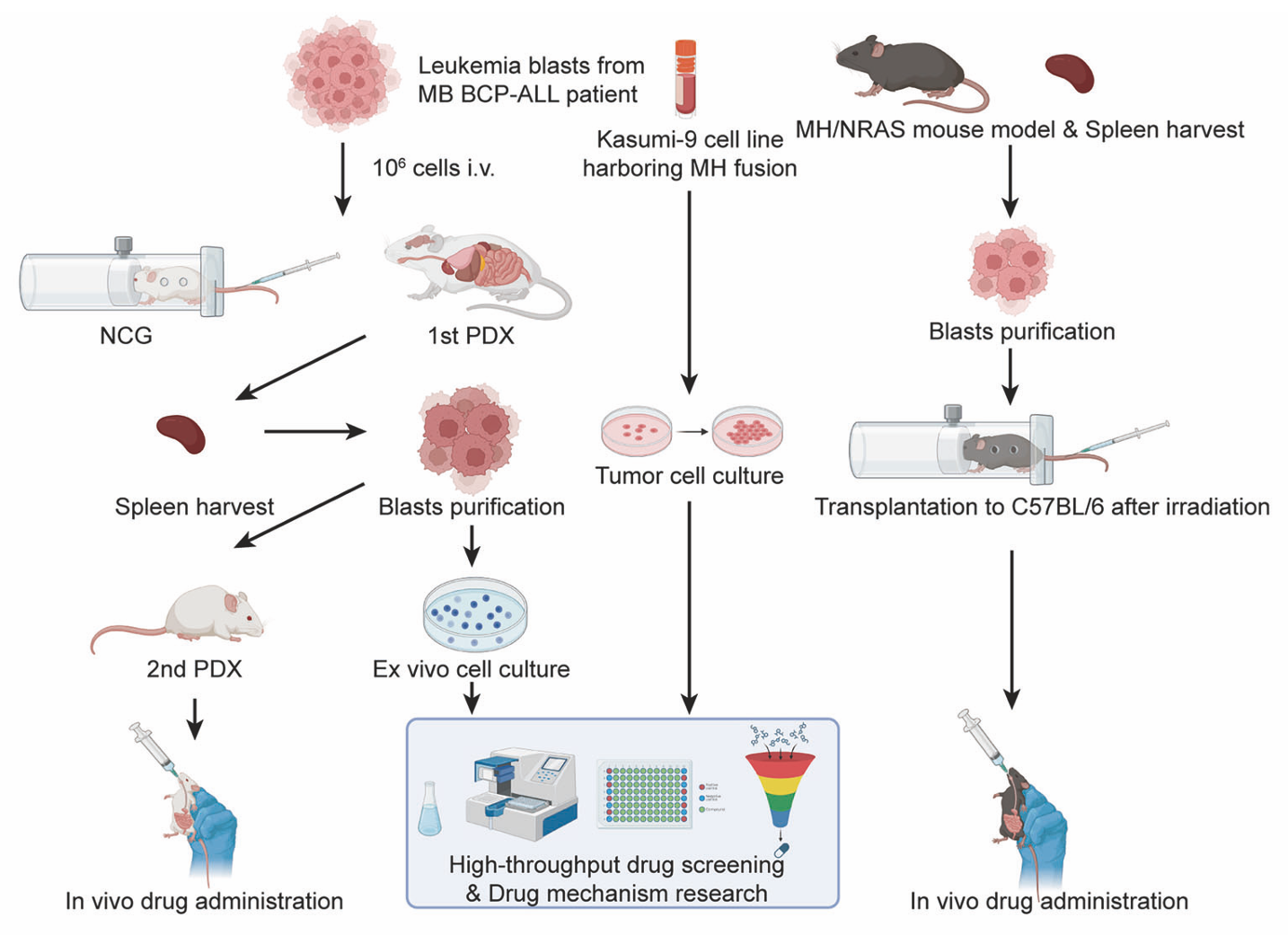 1754385494868487.png 1-2.png