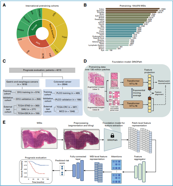 1755248410472802.png 1-1.png