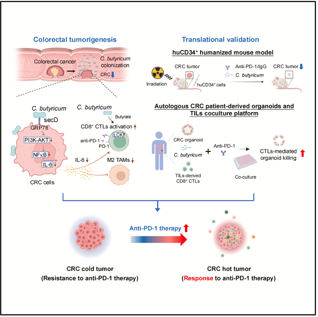 1755504640883316.png 1-2.png