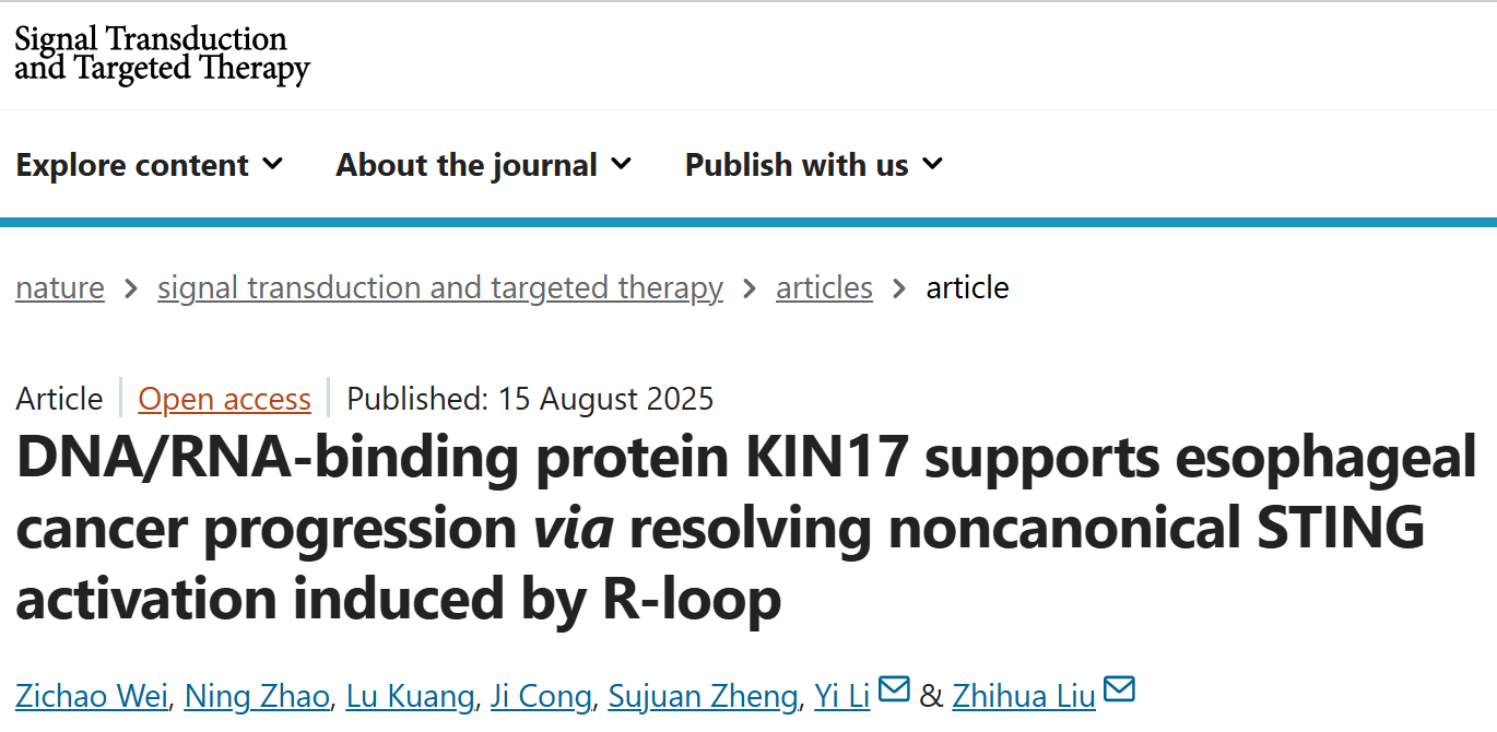 1755682491893351.png 1-1.png