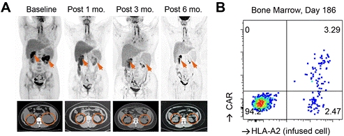 1755855084500612.jpg 2-4.jpg