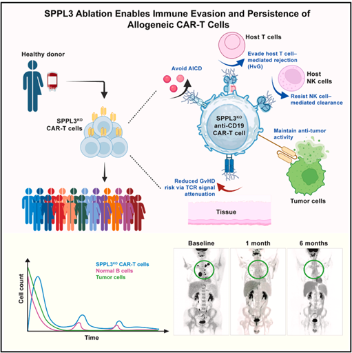 1755855094564193.png 2-5.png