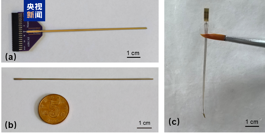 1756373149387049.png 2-1.png