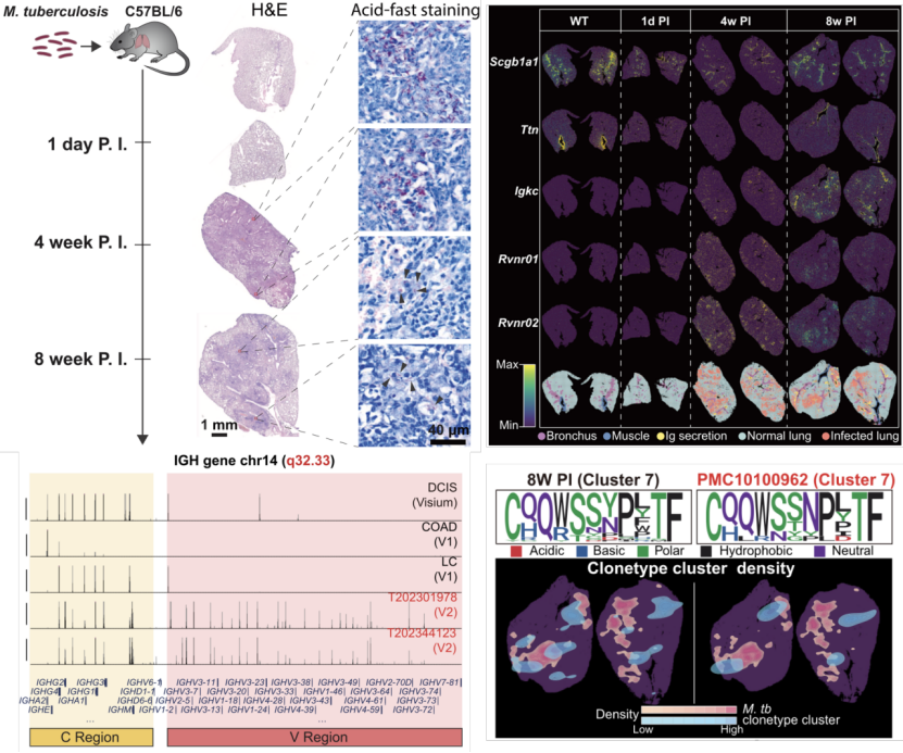 1756458404106854.png 1-2.png