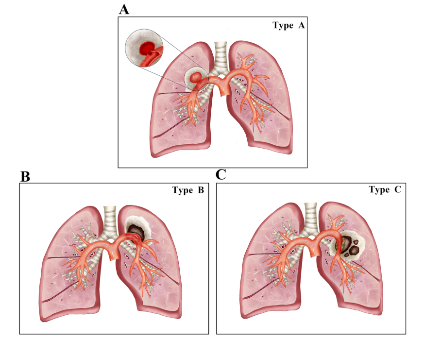 1756950087691299.png 1-2.png