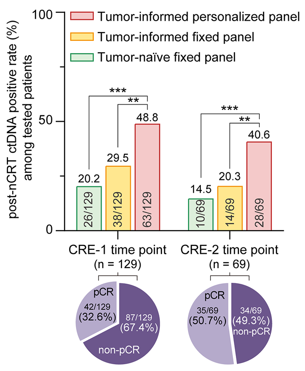 1757499871287760.png 1-4.png