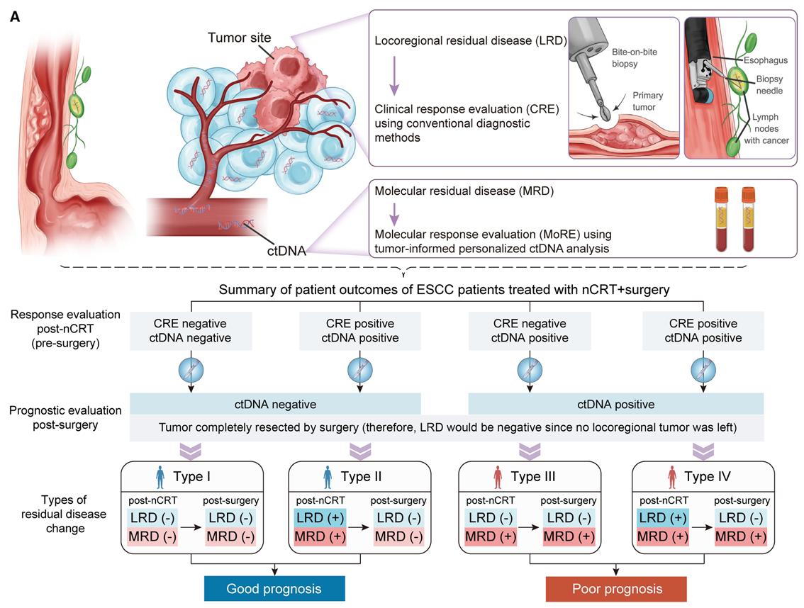 1757500219301798.png 1-11.png