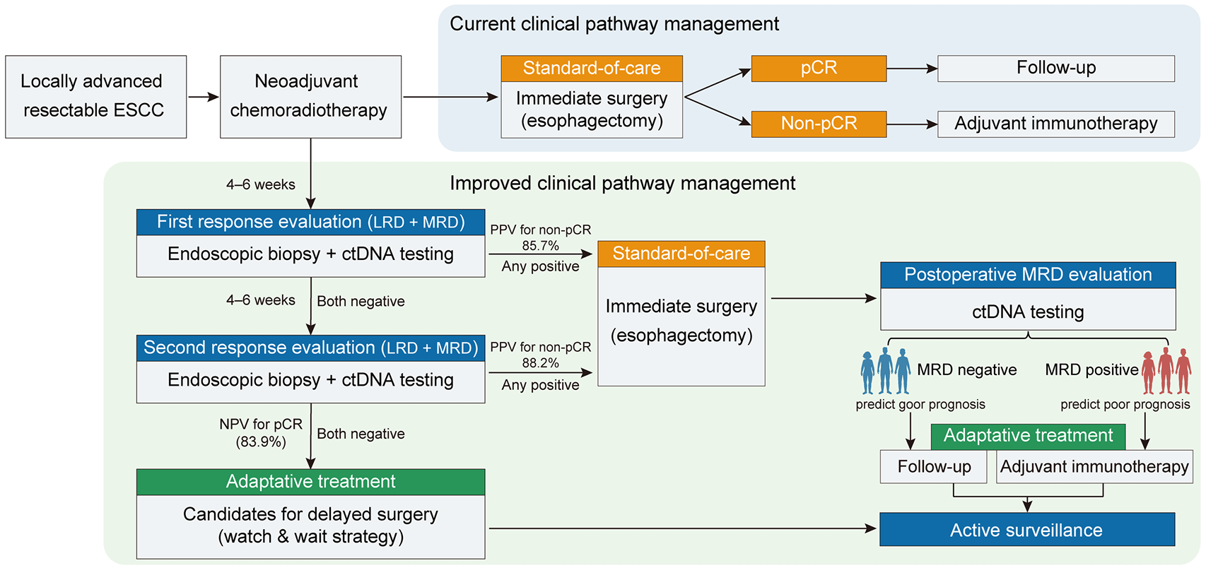 1757500238566185.png 1-12.png