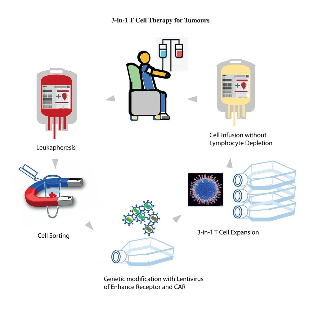 1758705696686862.jpg 1-2.jpg