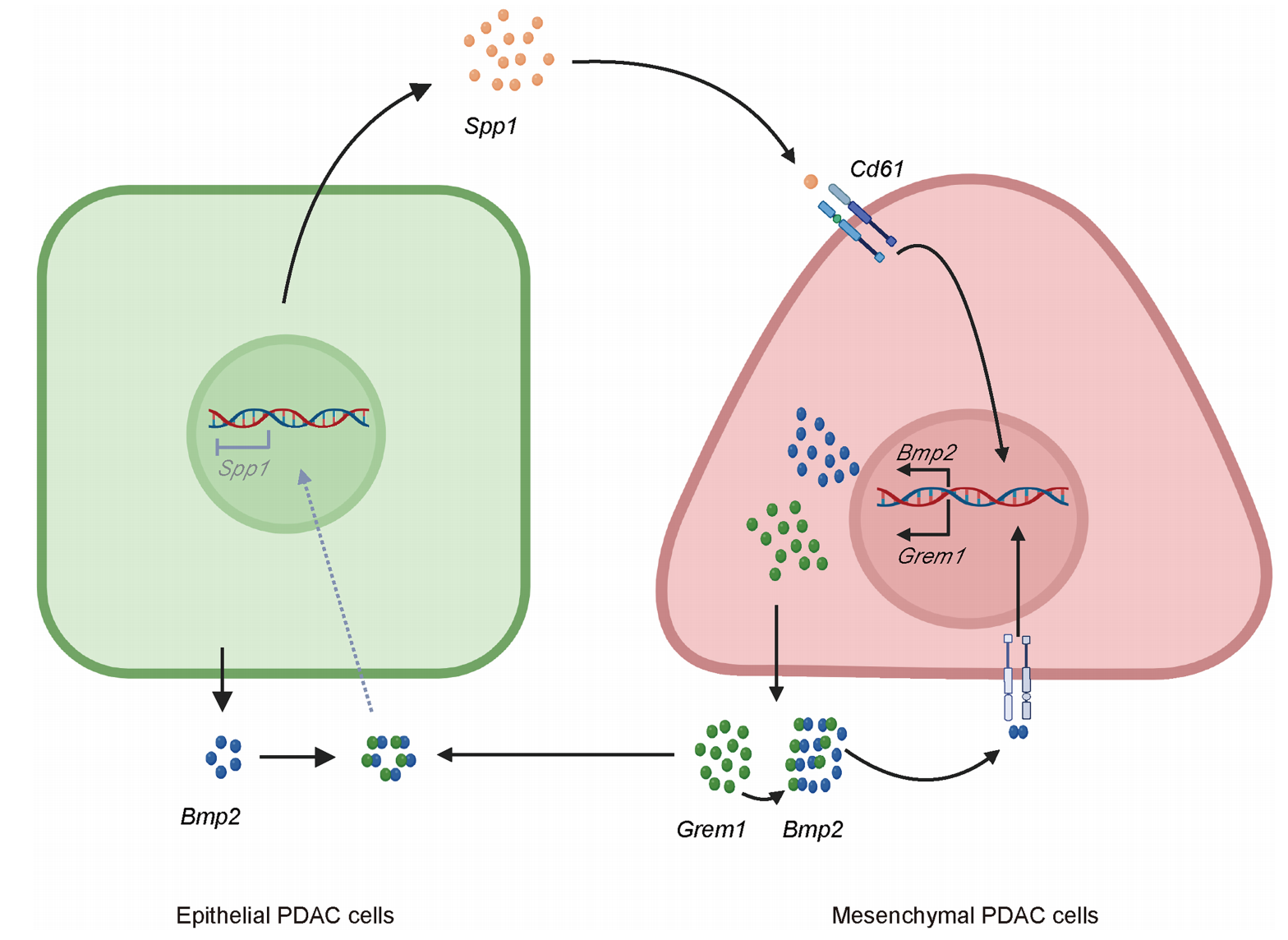 1758877903811480.png 1758877903811480.png