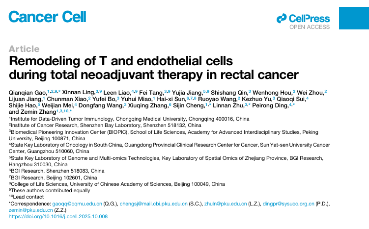 1762512626668485.png 4-1.png