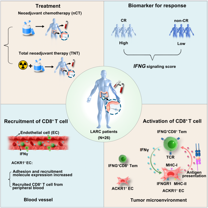 1762512636568805.png 4-2.png