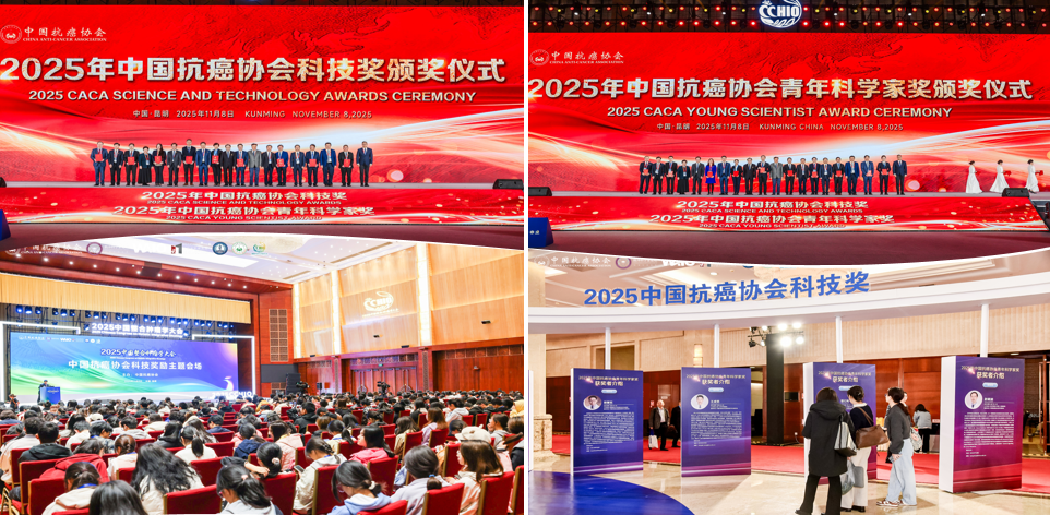 1762771242555244.png 1-12.png