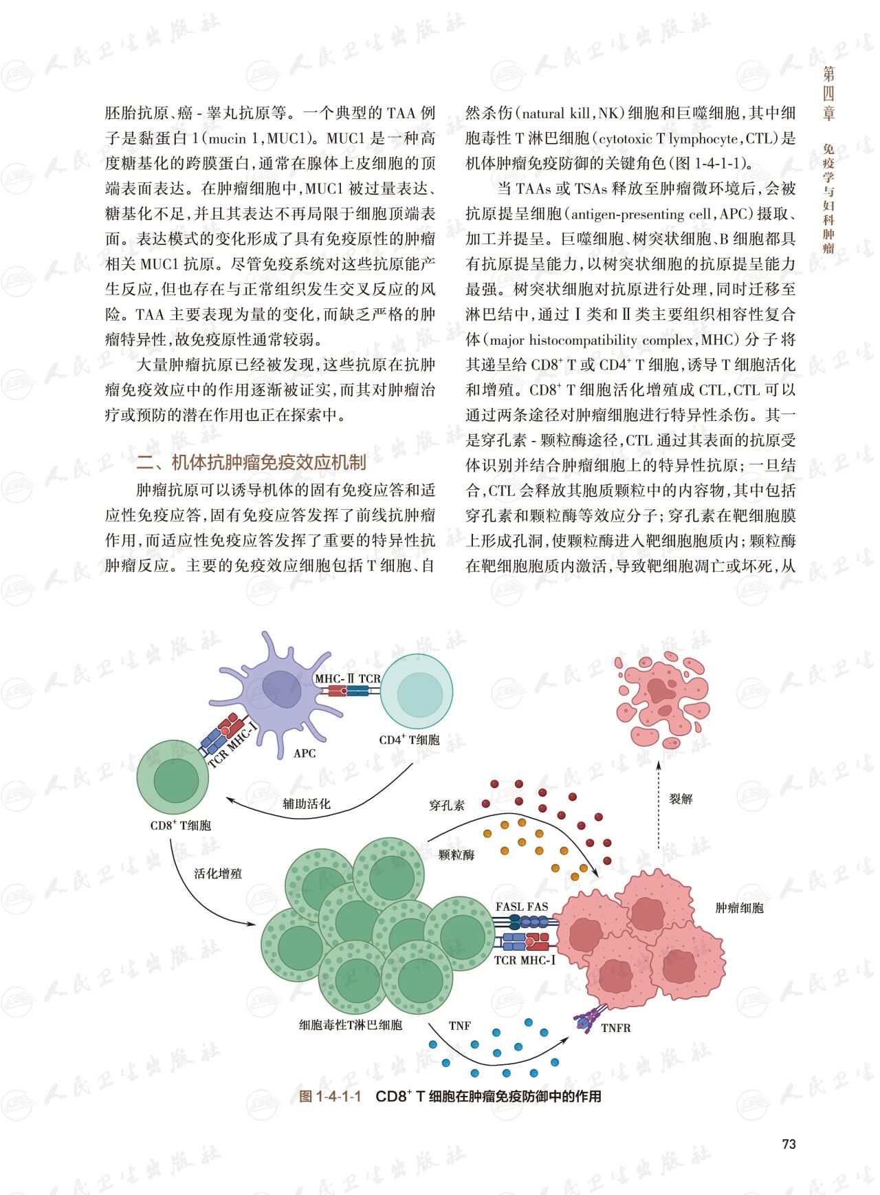 1762853347820455.jpg 2-23.jpg