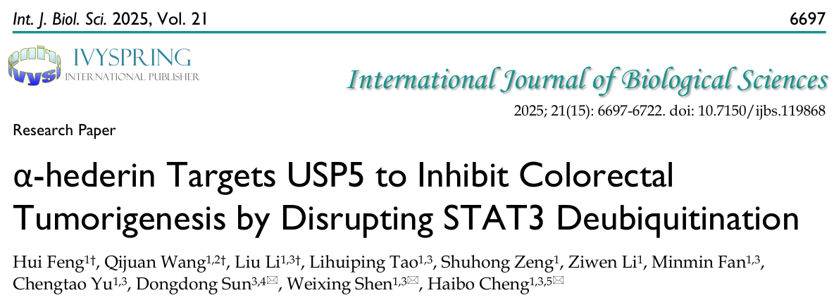 1763029293187173.png 2-1.png