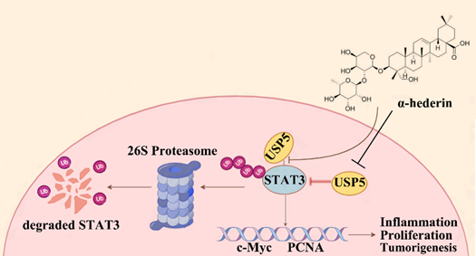 1763029300812084.png 2-2.png