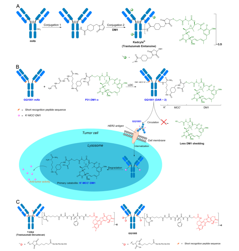 1763367534763459.png 1-2.png