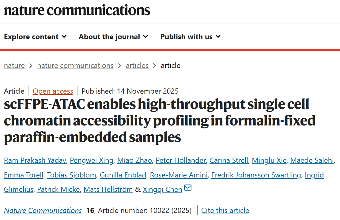 1763543839653915.png 2-1.png