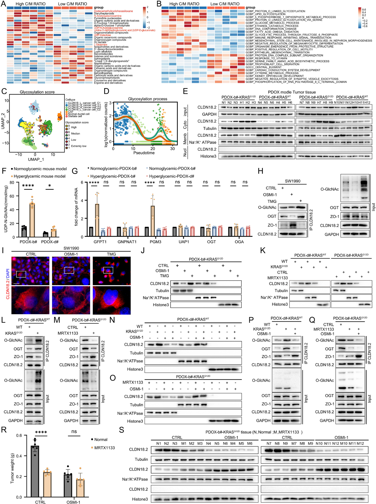 1768385611486287.png 2-4.png