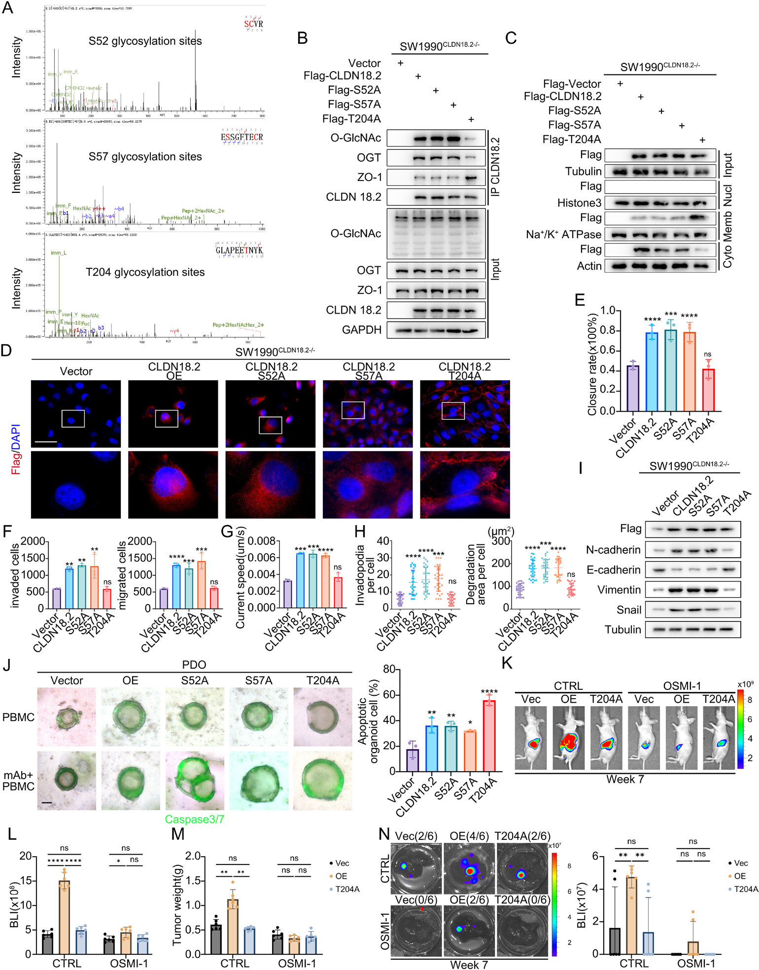 1768385680549206.png 2-7.png