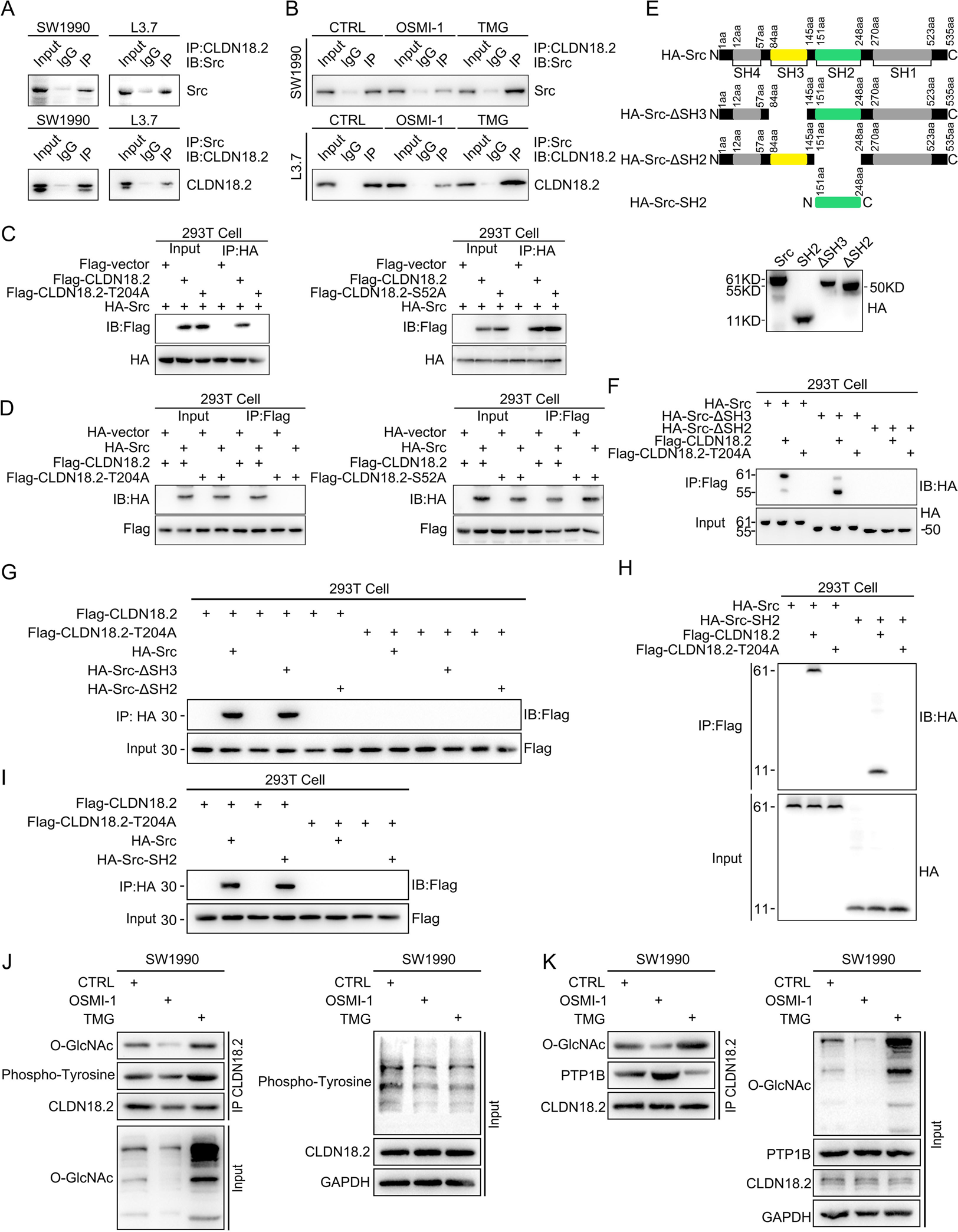 1768385732740182.png 2-10.png