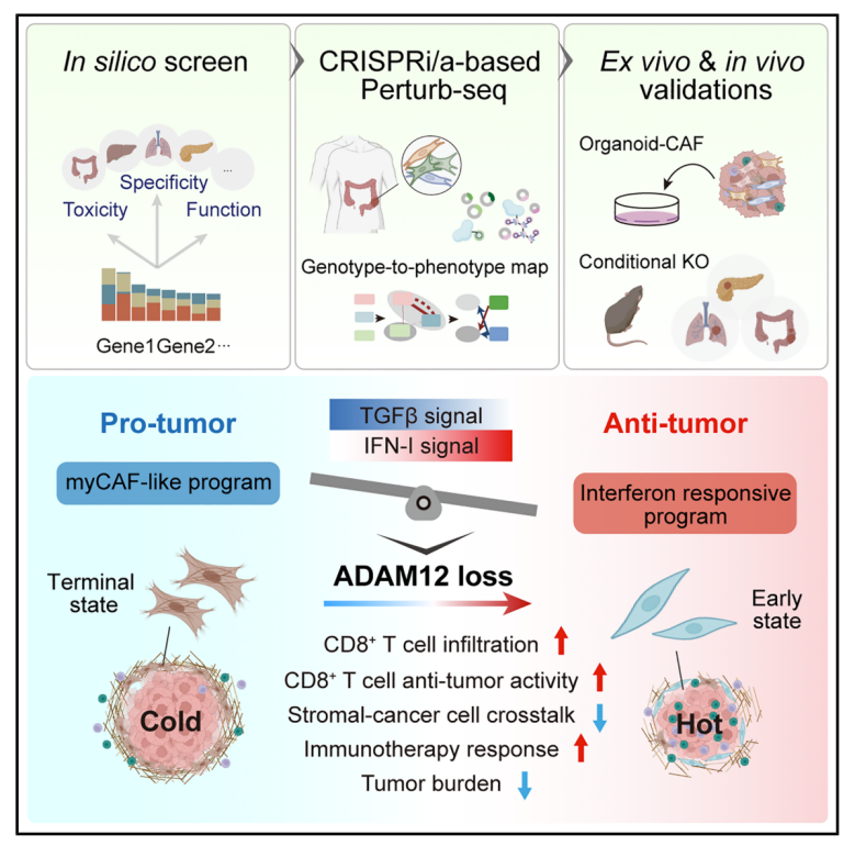 1768560747694966.png 1-2.png