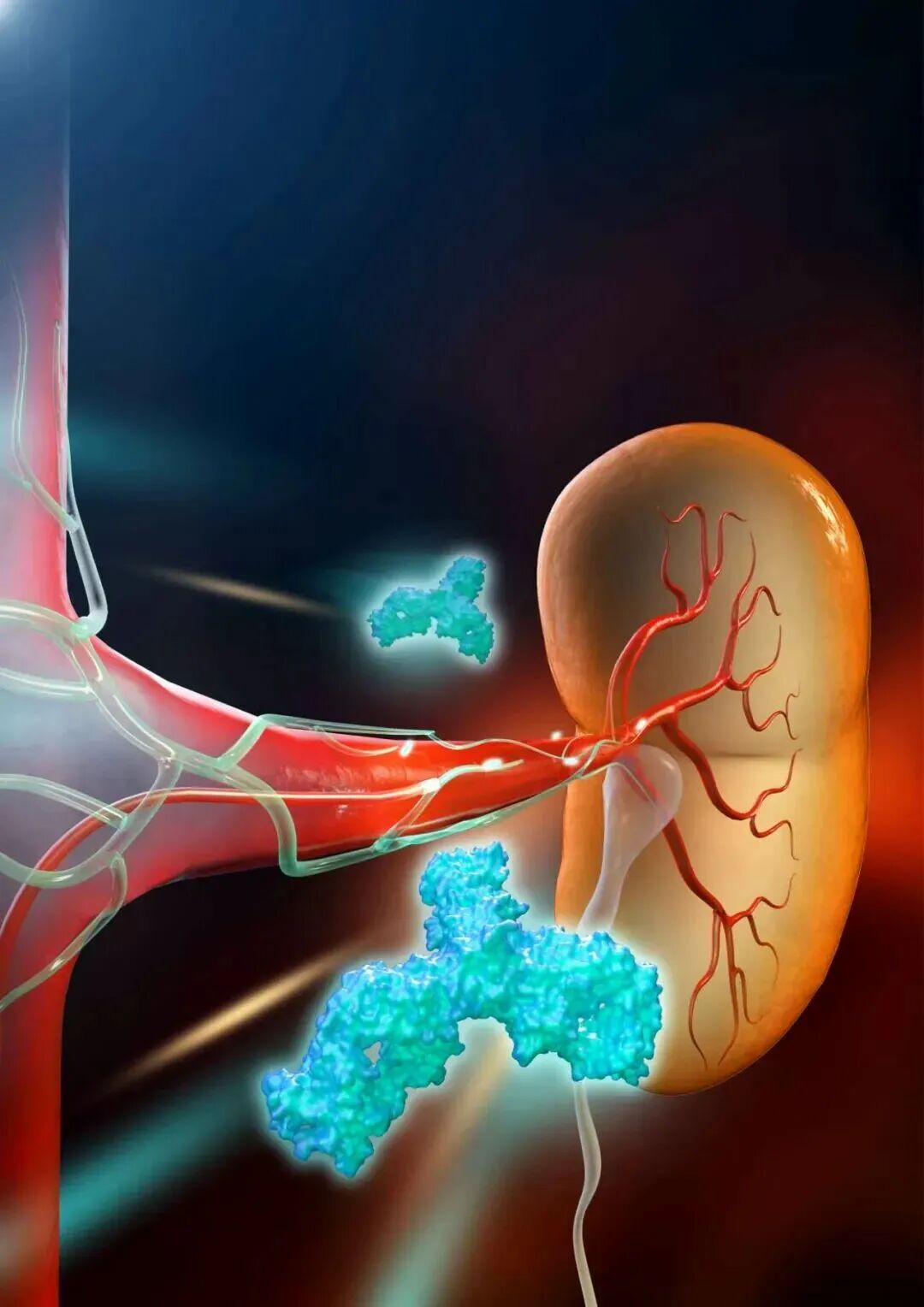 1769160447481888.jpg 1769160447481888.jpg