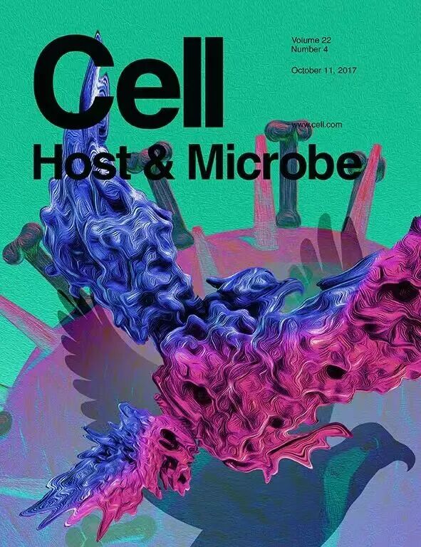 1769160495370608.jpg 1769160495370608.jpg