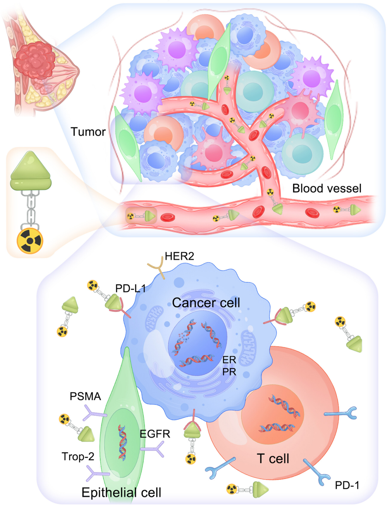 1769592096818580.png 2-2.png