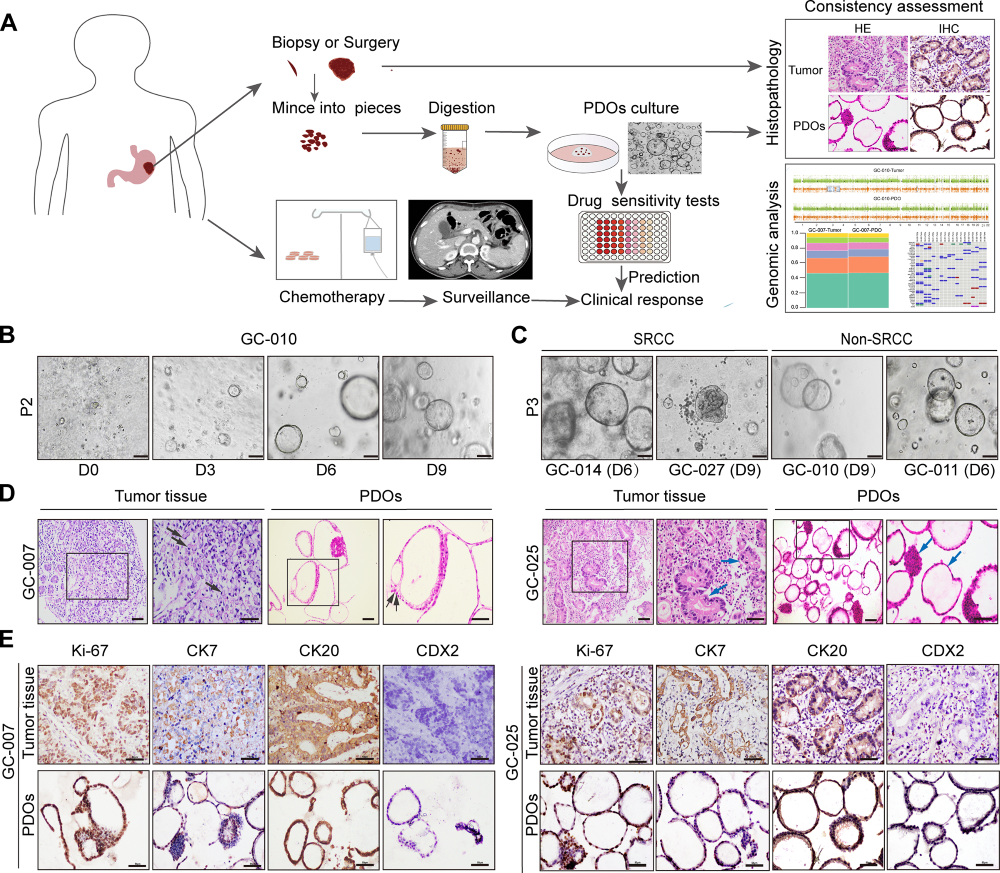 1774598236854184.png 1-2.png