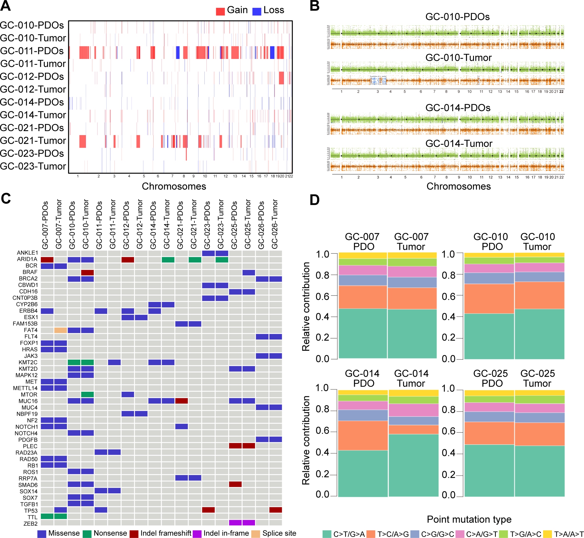 1774598244800377.png 1-3.png