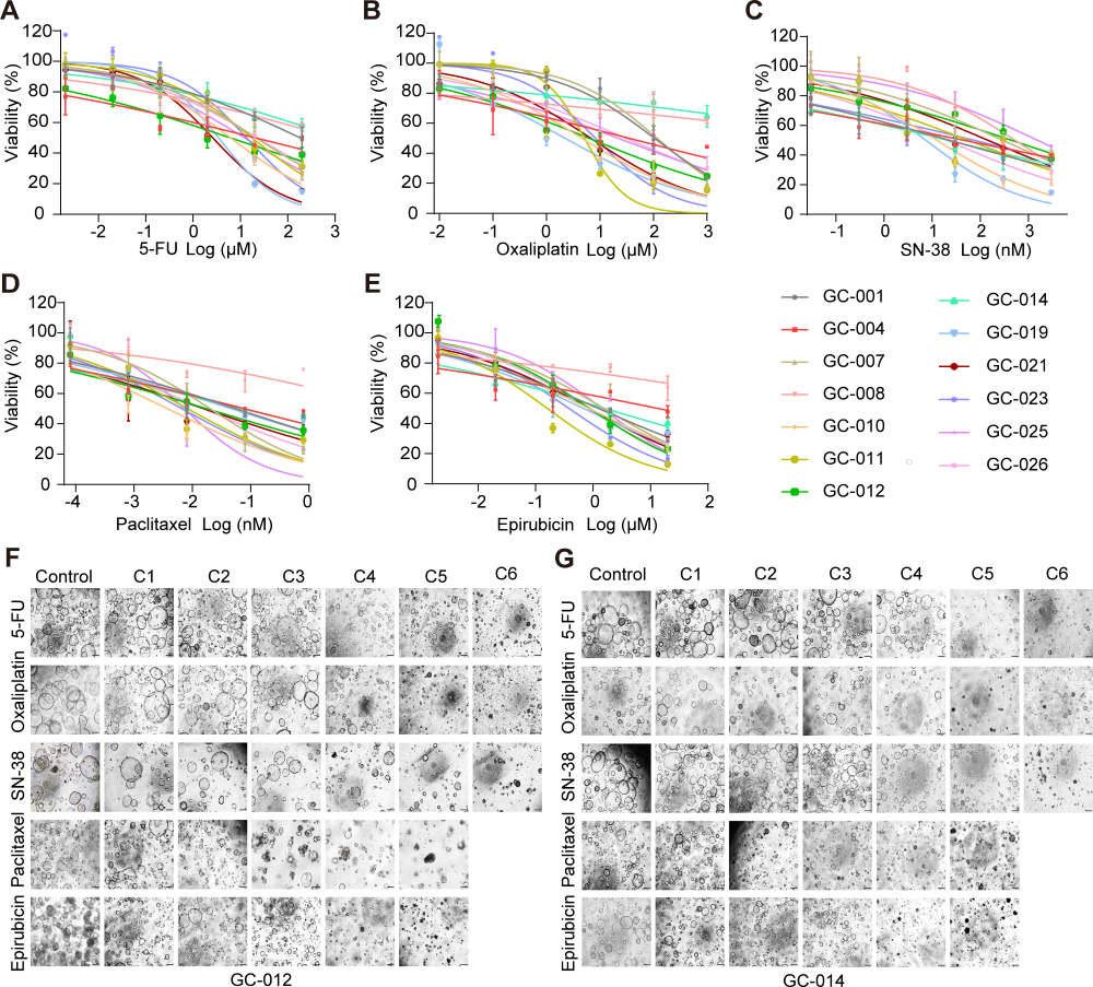 1774598252638441.png 1-4.png