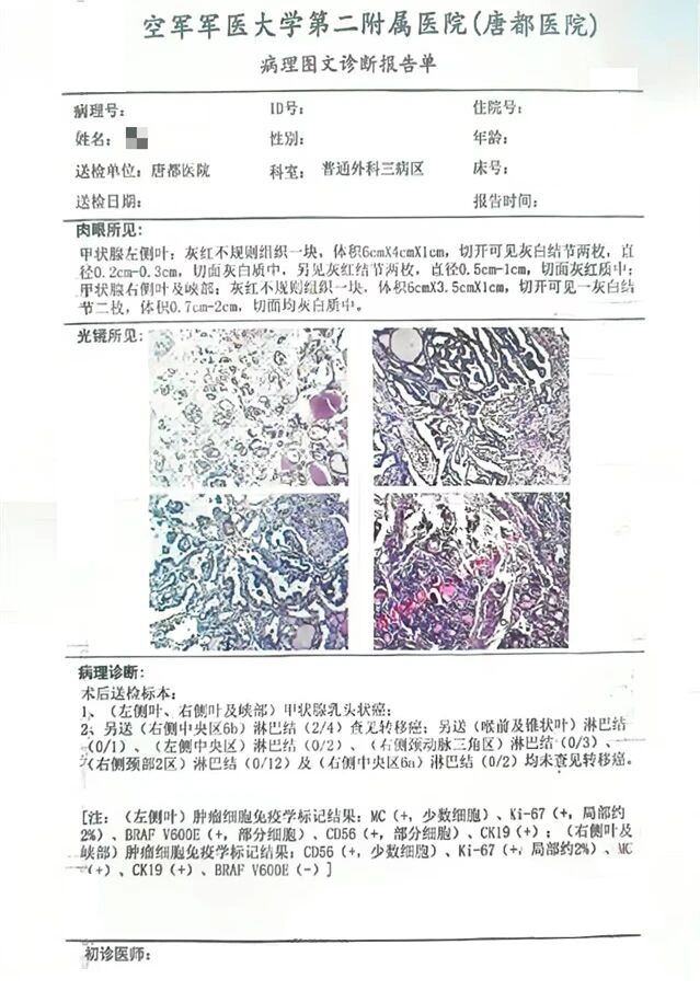 1774599157918096.jpg 1-5.jpg