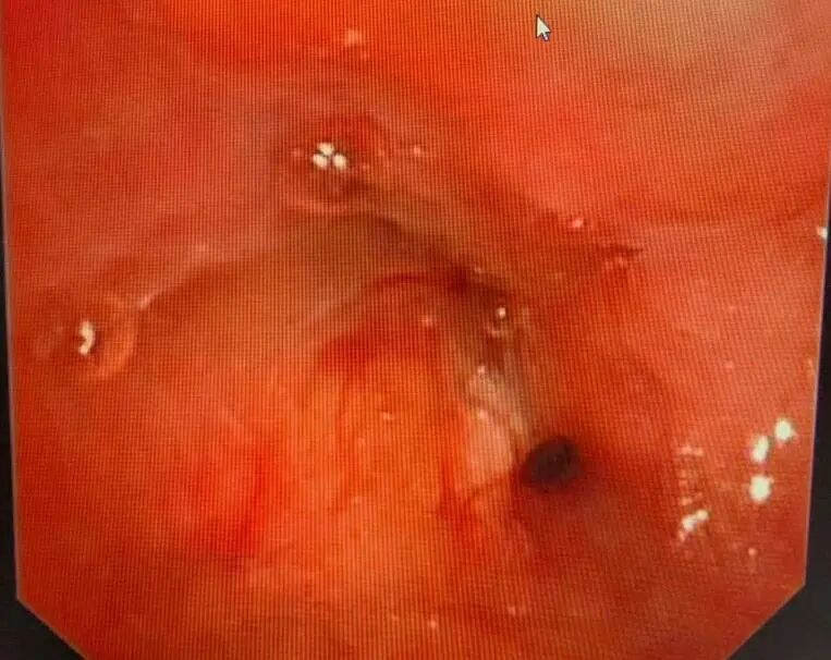 1775553224292478.jpg 1-1.jpg