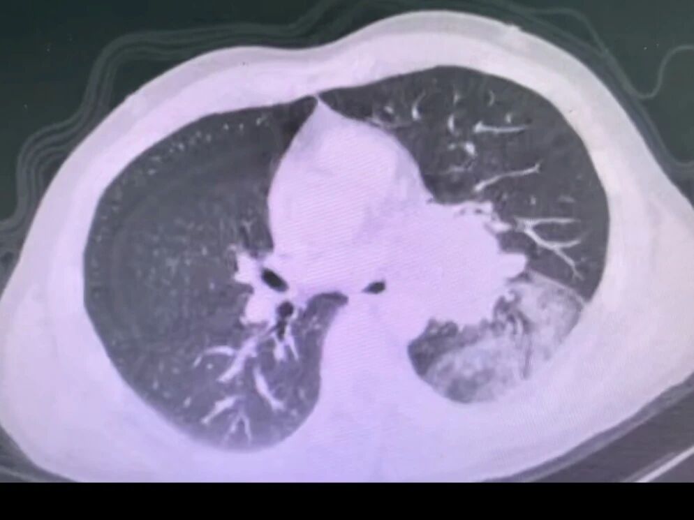 1775811334299774.jpg 1775811334299774.jpg