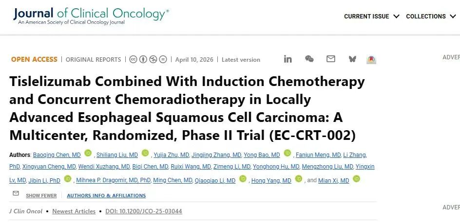 1776077397545106.jpg 2-1.jpg