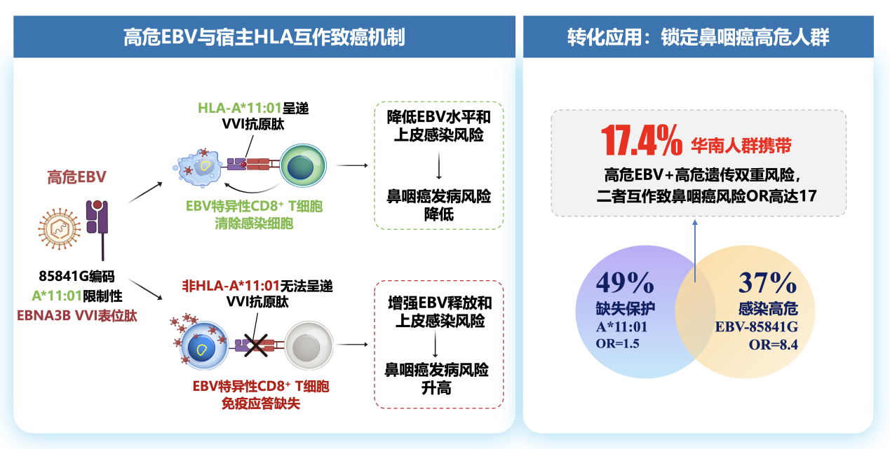 1776326562285817.png 1-2.png