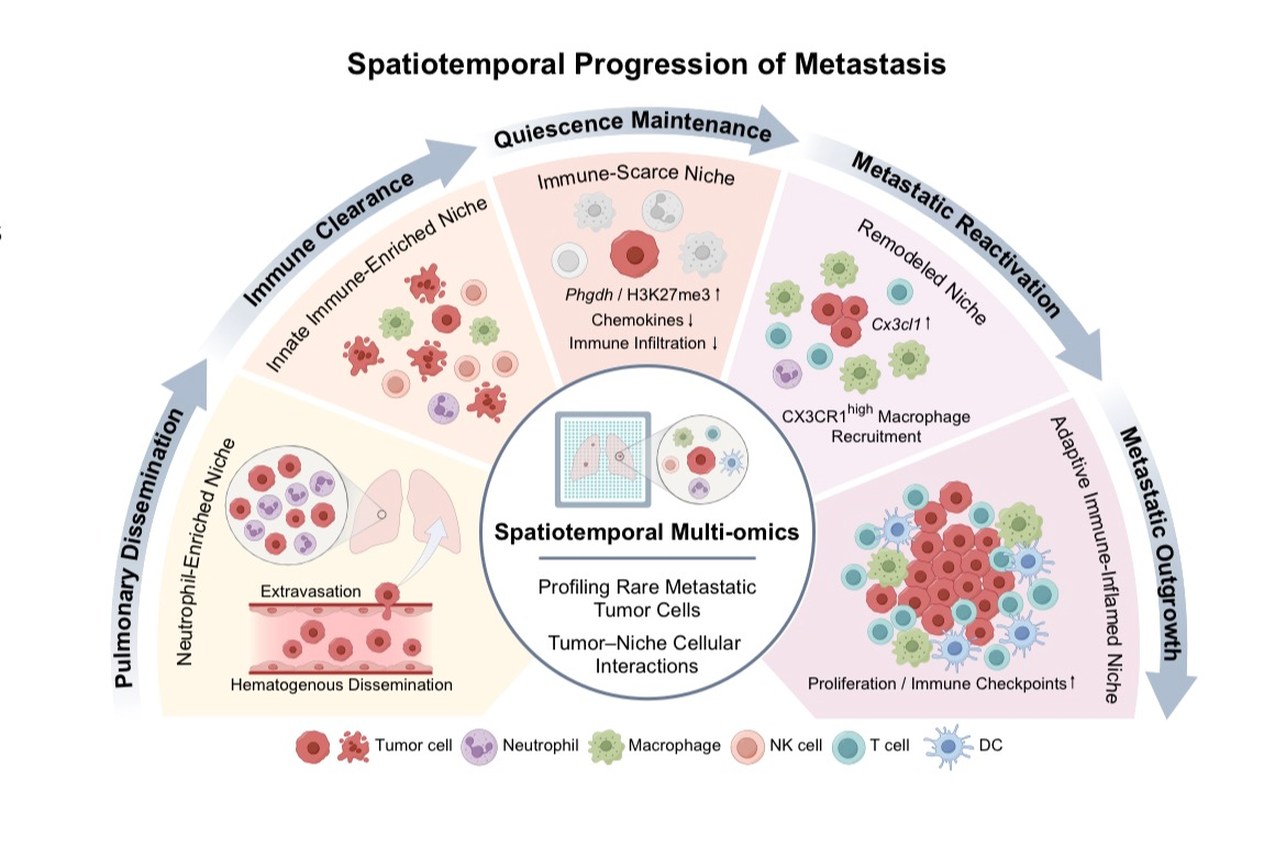 1785492191798639.png 2-3.png