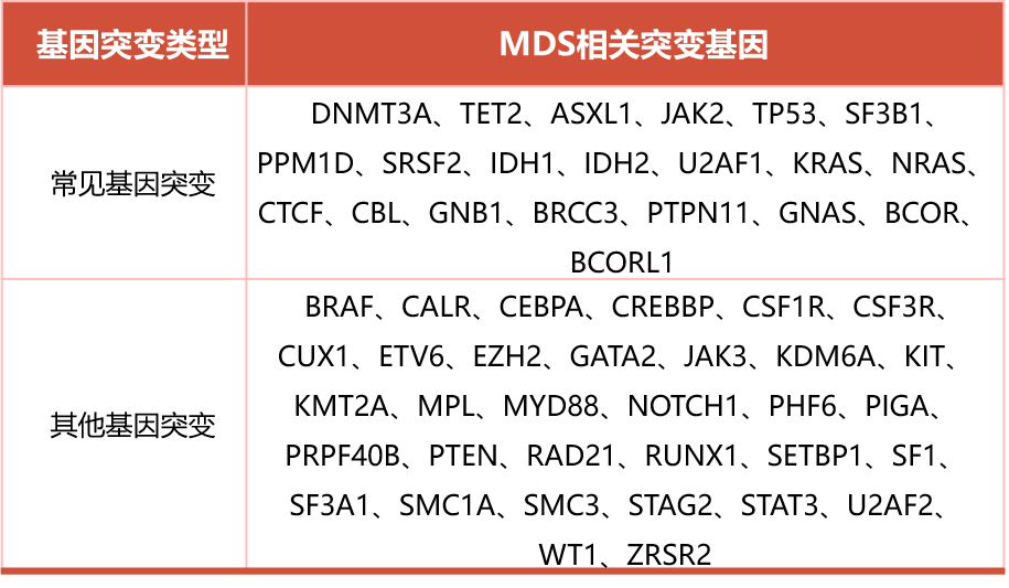 李冰MDS基因突变.png